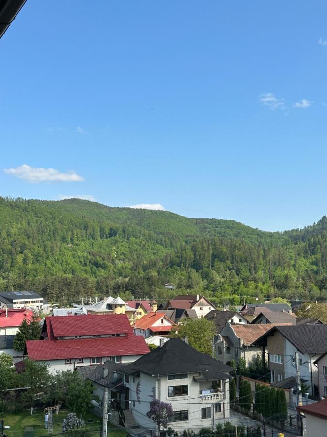 Apartamente Arinis Gura Humorului Bagian luar foto