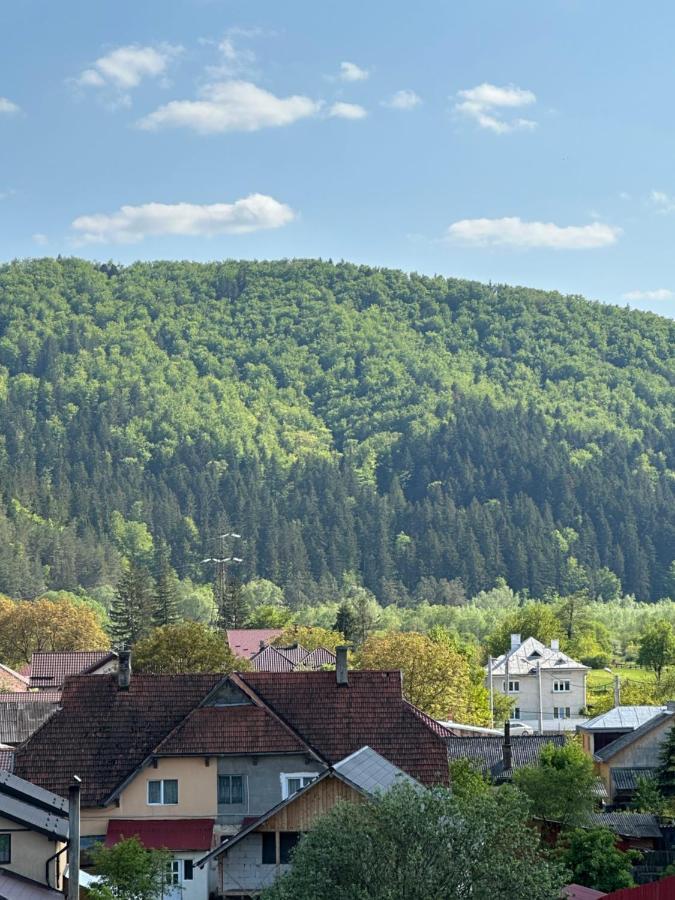 Apartamente Arinis Gura Humorului Bagian luar foto